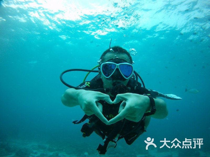 多方合力救助落难松雀鹰