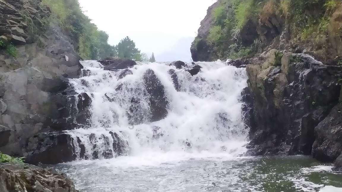 农场“天顺”富路宽